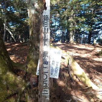 更に登り、櫛形山山頂に到着〜