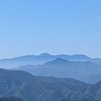 男体山見えました✨
昨日も、先週もいた様な気がする！