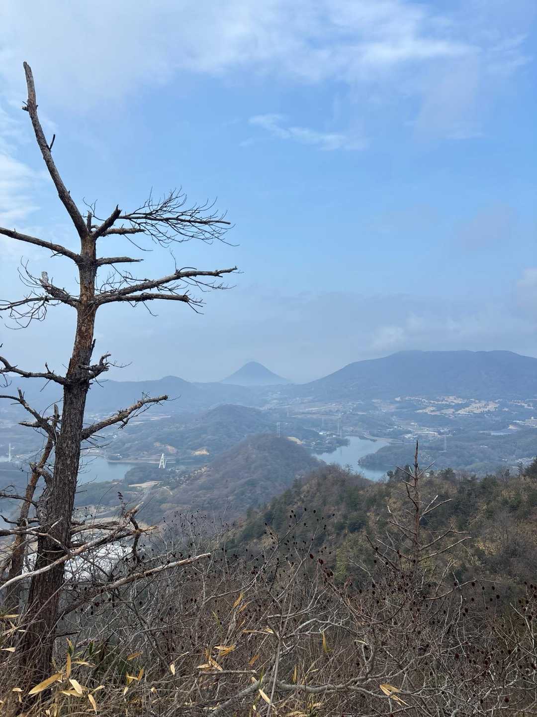 靄が晴れてはれてきました。
飯野山。