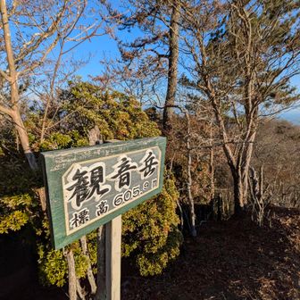 たっくんと別れた後、やっと山頂🫡