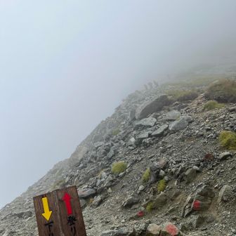 狭いので登りと下りの方向がある。ここで断念