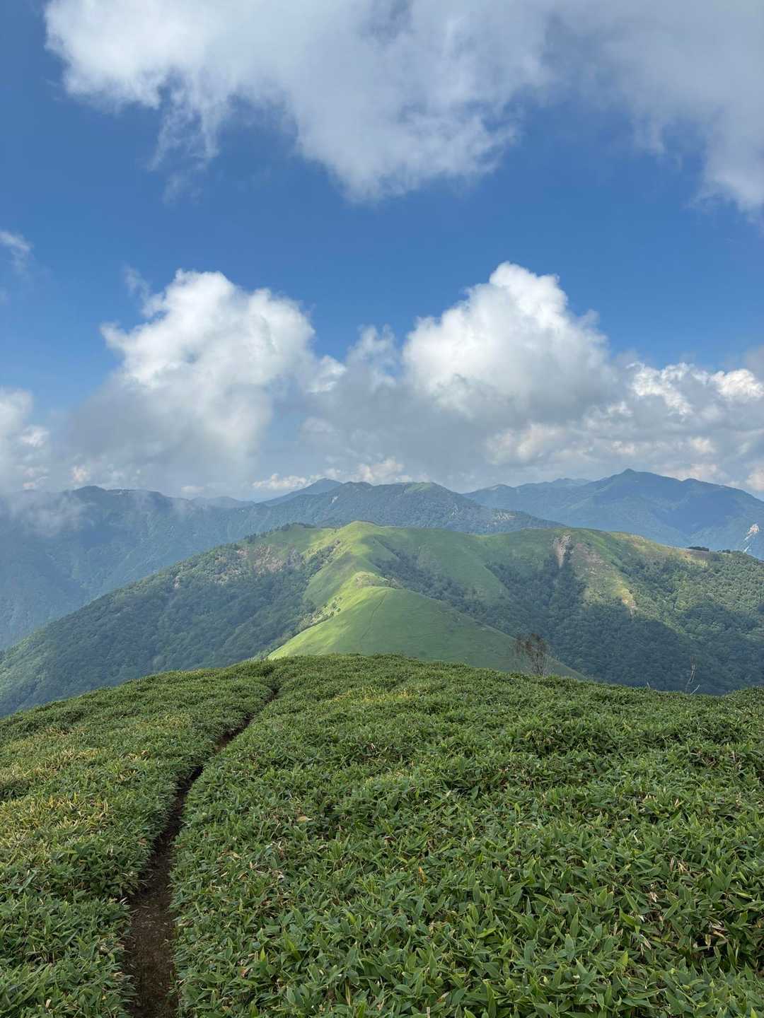 次郎笈登山口-次郎笈 周回コースの写真