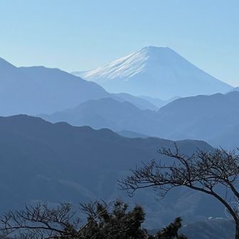 高尾山からの富士山