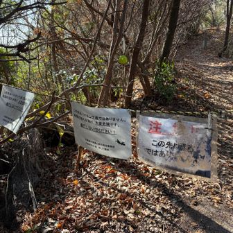 ロープを跨いで振り返ると通行禁止の貼り紙がありました。来る時は無かったのですが、どうやら通行禁止の道を歩いてきてしまいました💦