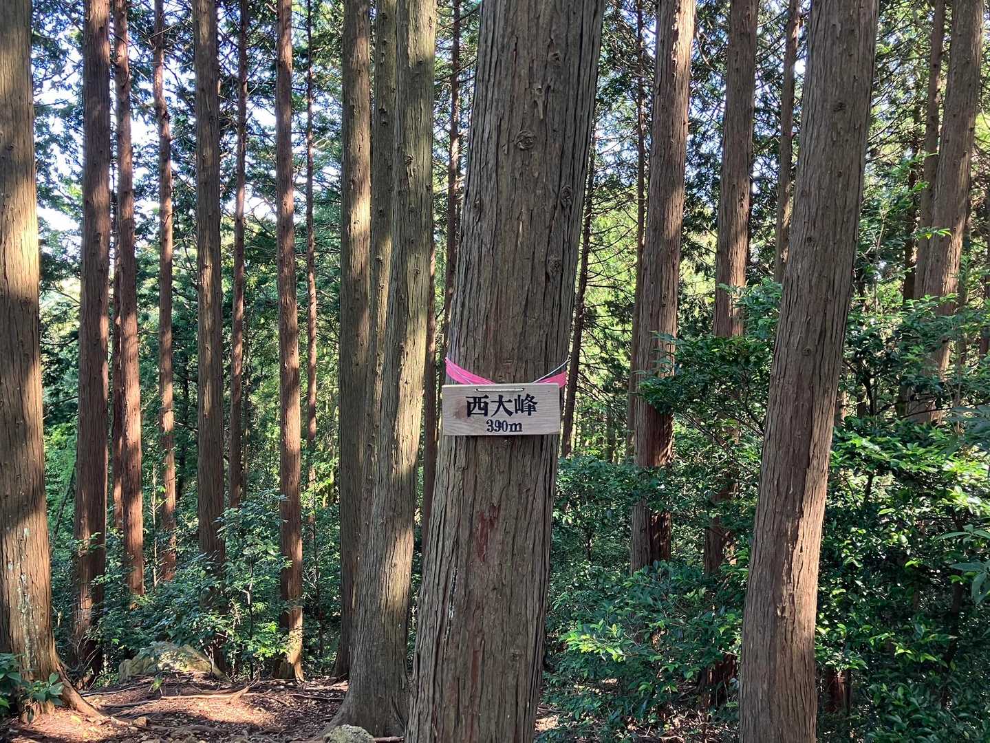 西大峰登頂(なんて読む？)