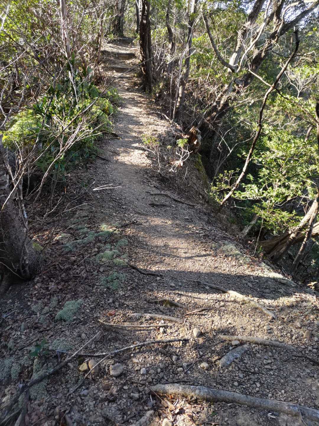 さぁ!登山道に入り