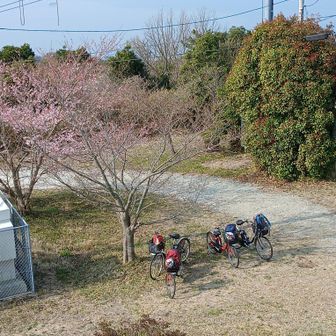 電動チャリで頂上まで登れる（楽）