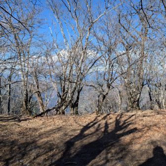 パノラマ撮りましたが、山頂は展望ないんですね…残念