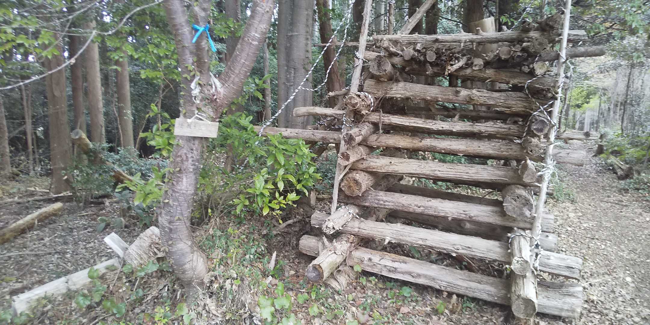 徳願寺山に到着‼️