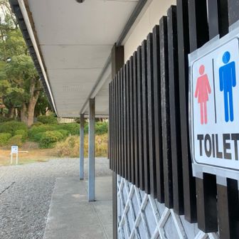 家を出る時トイレ我慢してたの忘れてたため今日はここからスッキリとスタートです。