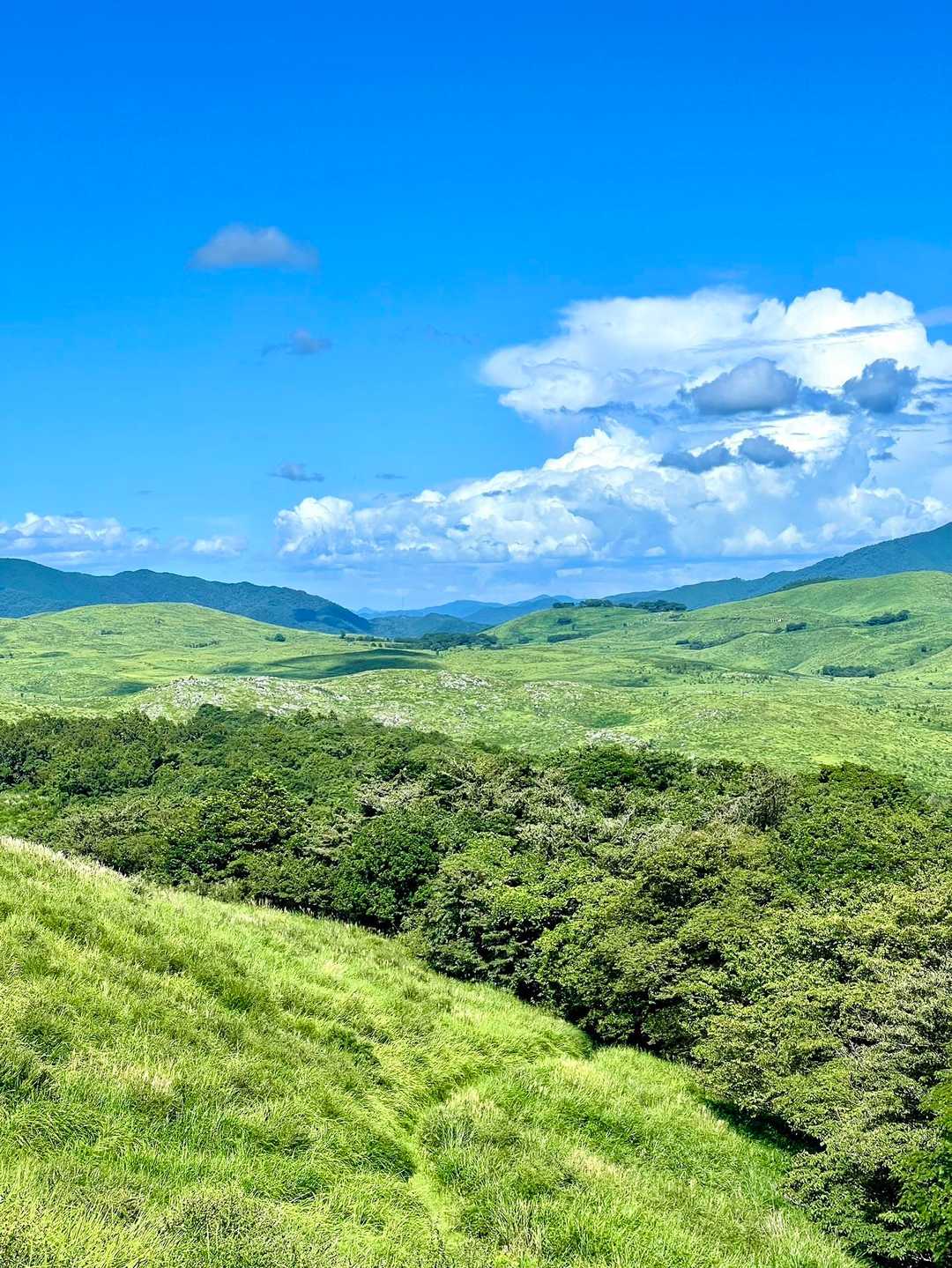 龍護峰 往復コースの写真