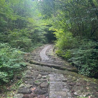 こういう石の道がしばらく続きます。
登りはともかく下りの時、めっちゃ滑りやすい。転倒注意⚠️