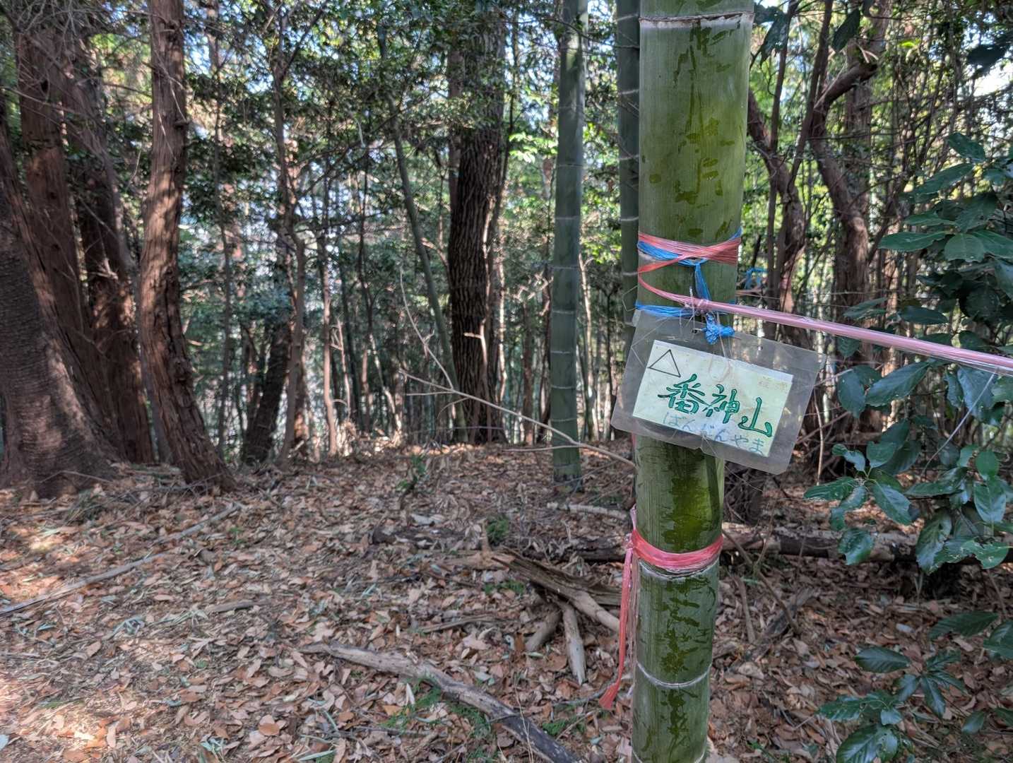 8座目は番神山！
眺望は全くありません