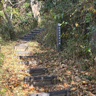 ここからは初めての道