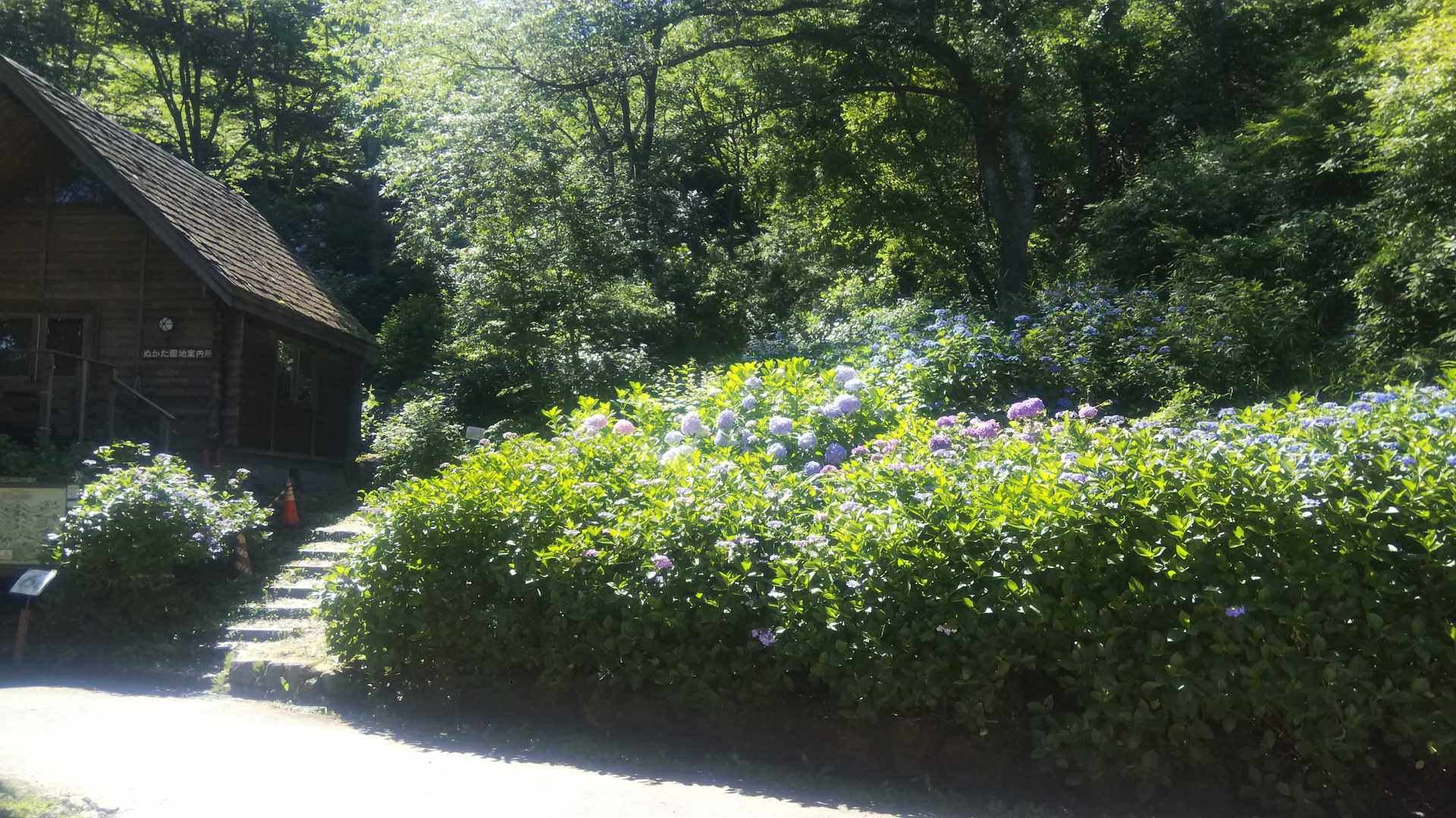 タタラ山 往復コースの写真