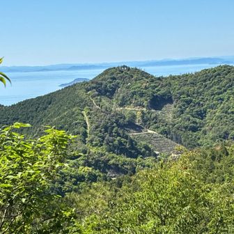 大谷山