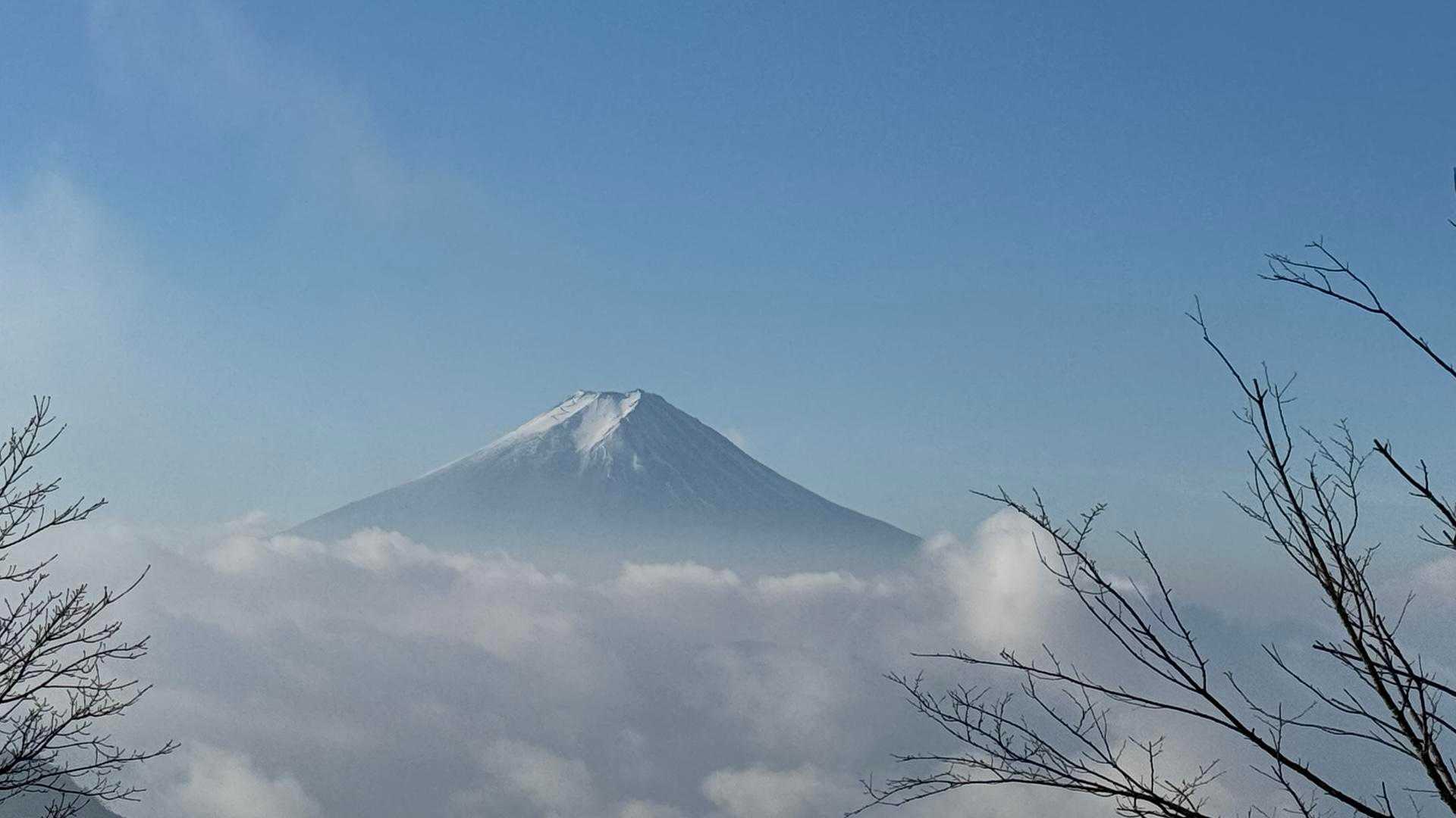 湯ノ沢峠登山口-湯の沢峠-白谷小丸-大蔵高丸-ハマイバ丸 周回コースの写真