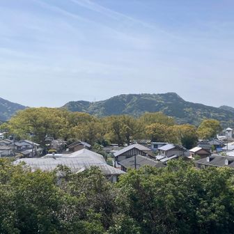井野山
手前の宇美八幡宮の楠の森が目立ちます