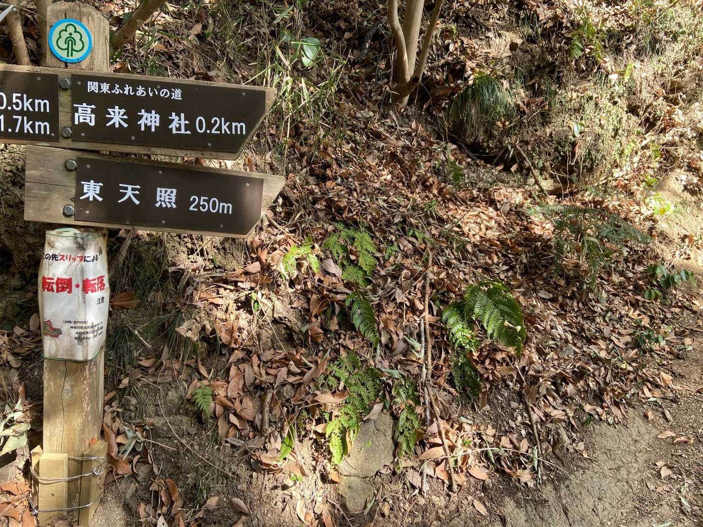 見つけられなかった道があるはずの下の分岐まで行ってみました。この道の行き着く先が気になるけど、次回に。