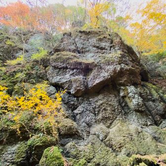 安龍ヶ滝手前の巨大な岩壁🍁