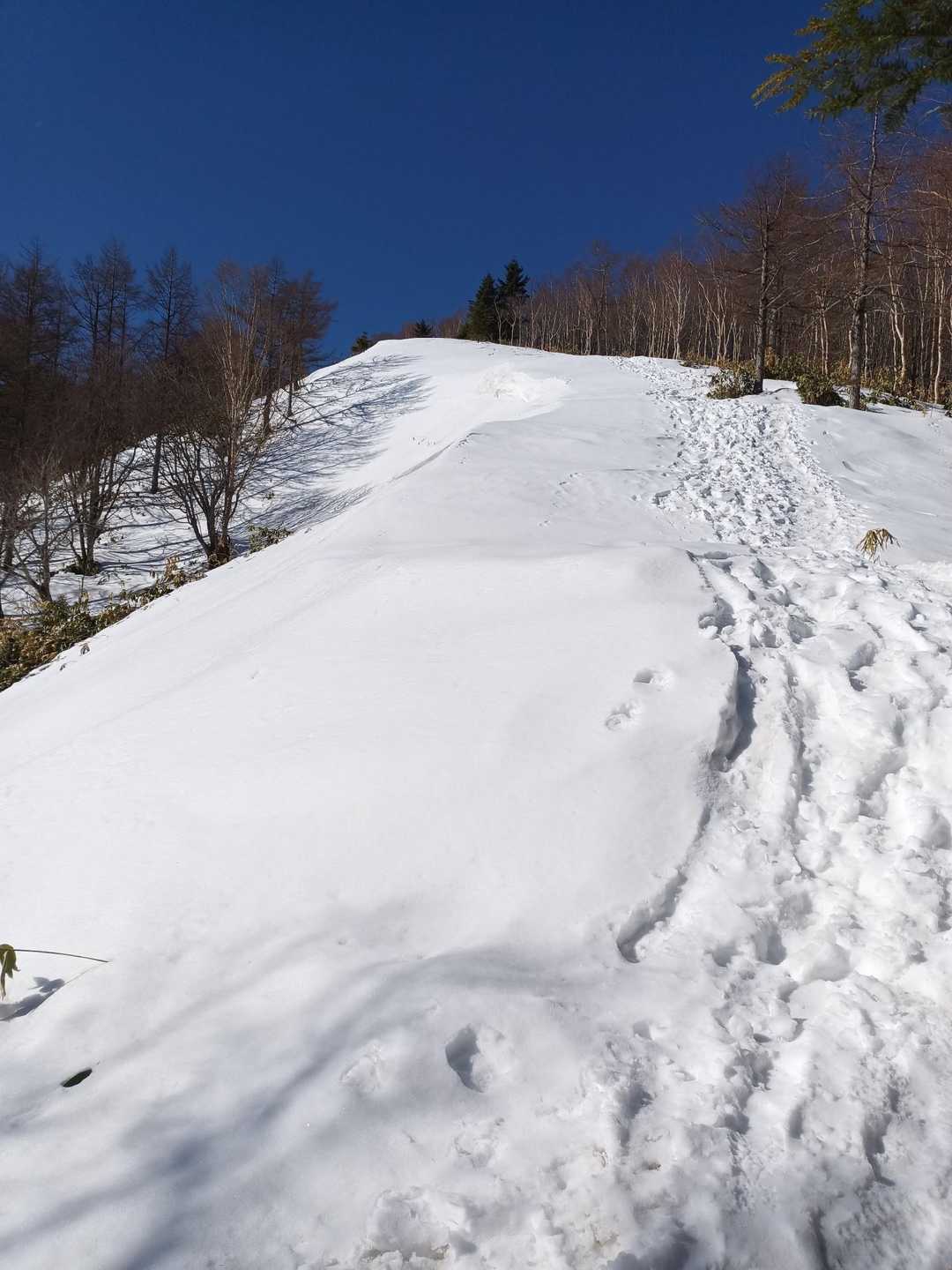 残雪期登山】恵那山 - 雪と絶景のアルプス展望 / シンディー♂の登山
