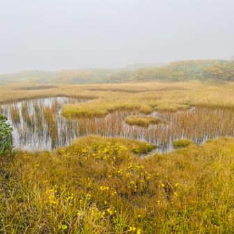登山口近くの池塘エリアもこの通り💦
