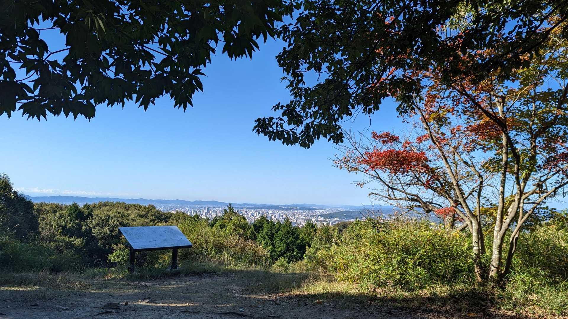 龍ノ口山 往復コースの写真