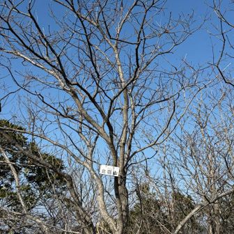 ９つめのピーク北宿山到着
８つ目別所奥山撮るの漏れている💦２回通ったのに