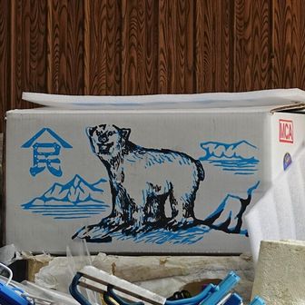 ちょっと🤣
いい面構えしてんな〜！！
ホワイトベアーだよな🐻‍❄️