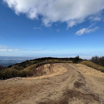 北は六甲方面がスッと見えて爽やか〜✨
山頂にいる人皆さんすごく嬉しそう。
夫が『実は葛城山ってすごくいい山なんじゃないか？』今さらながら同感〜😆