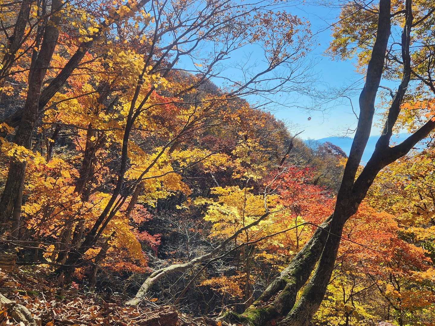 美しい景色を見て、頑張ります。