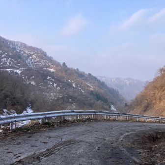 30分程林道歩き