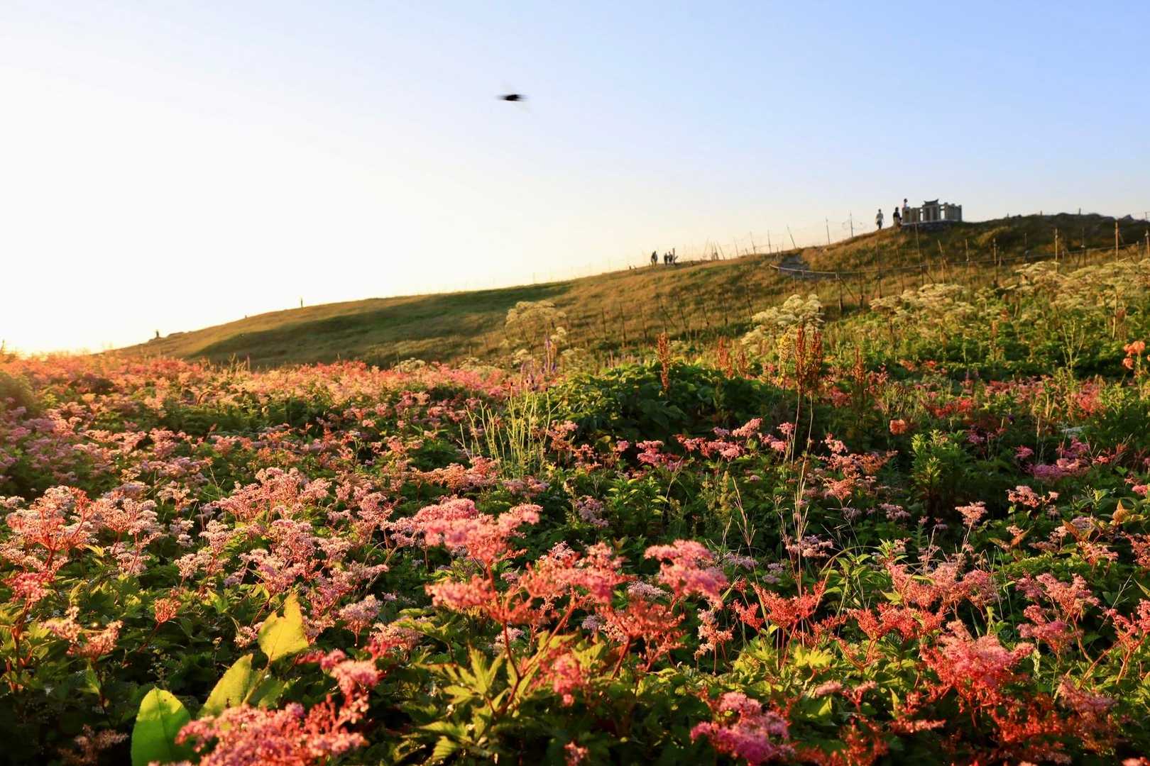 伊吹山西登山道入口-伊吹山 往復コースの写真