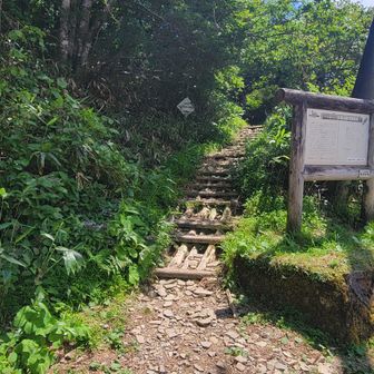 土小屋の登山口まで戻って来ました。山へ向かって一礼。「面白かった」