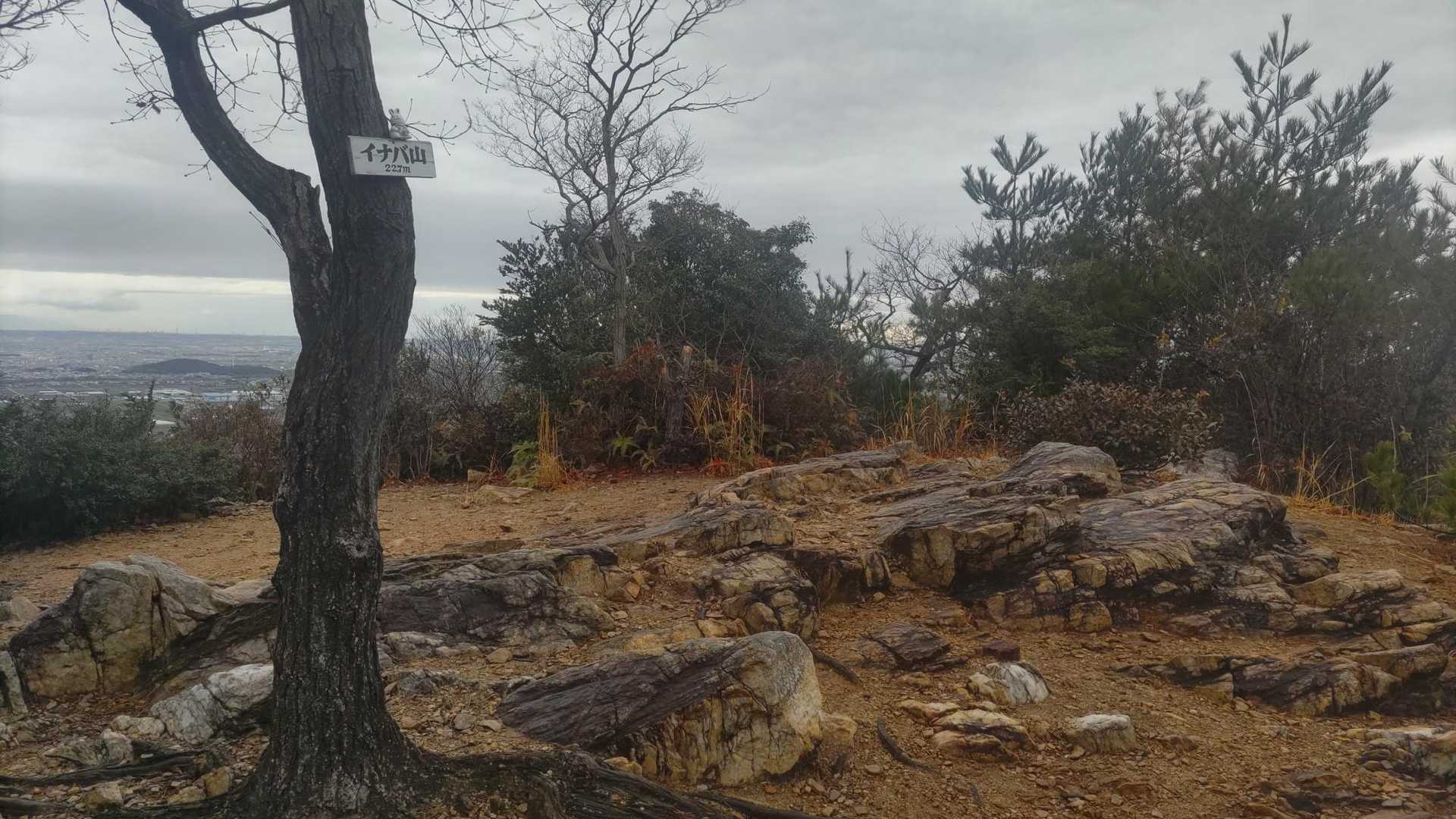 茶臼山-イナバ山 往復コースの写真