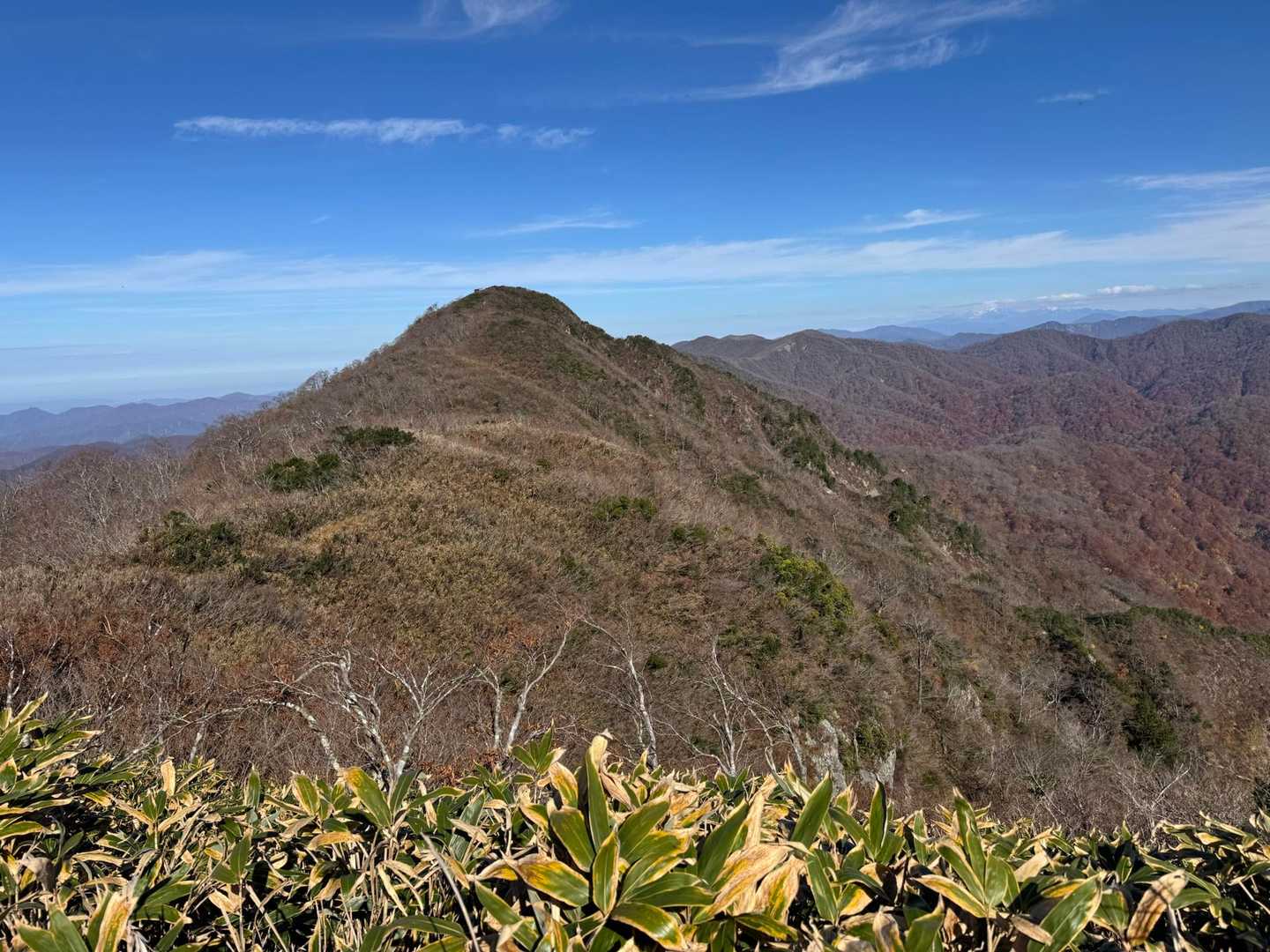 帰りに探すことにして三周ヶ岳を目指す🕶️💦