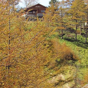 輝く落葉松に囲まれた雲取山の避難小屋