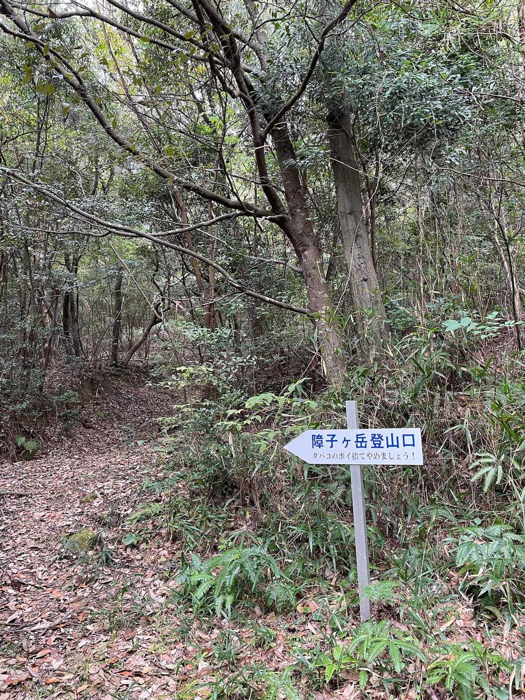 障子ヶ岳 往復コースの写真