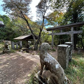 武甲山御嶽神社本宮
狛犬オオカミ🐺は背骨が浮き上がっている
下山後に武甲山御嶽神社里宮で御朱印の郵送手続きを
