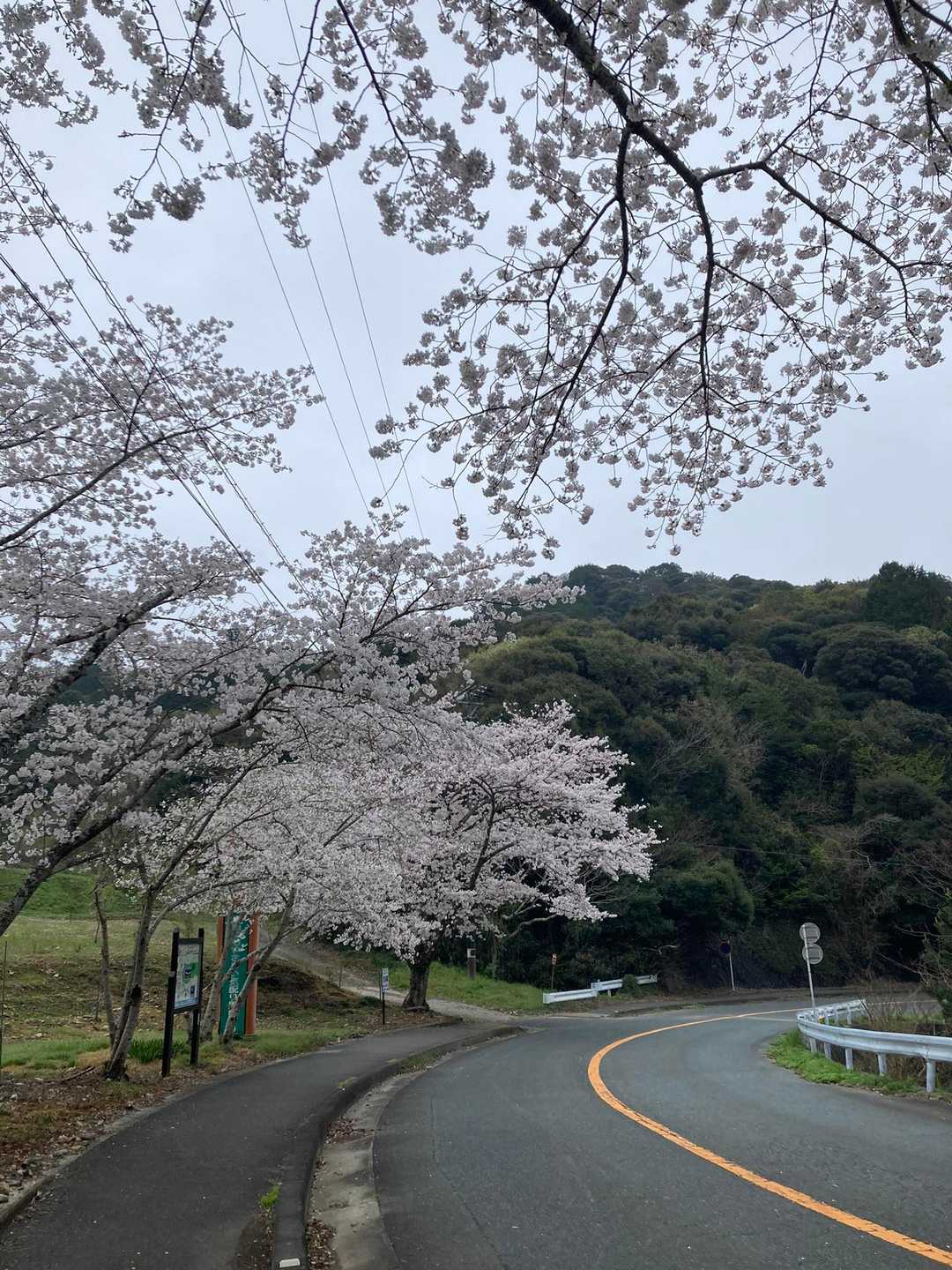 あ！むらさき平の写真撮るの忘れた🤳