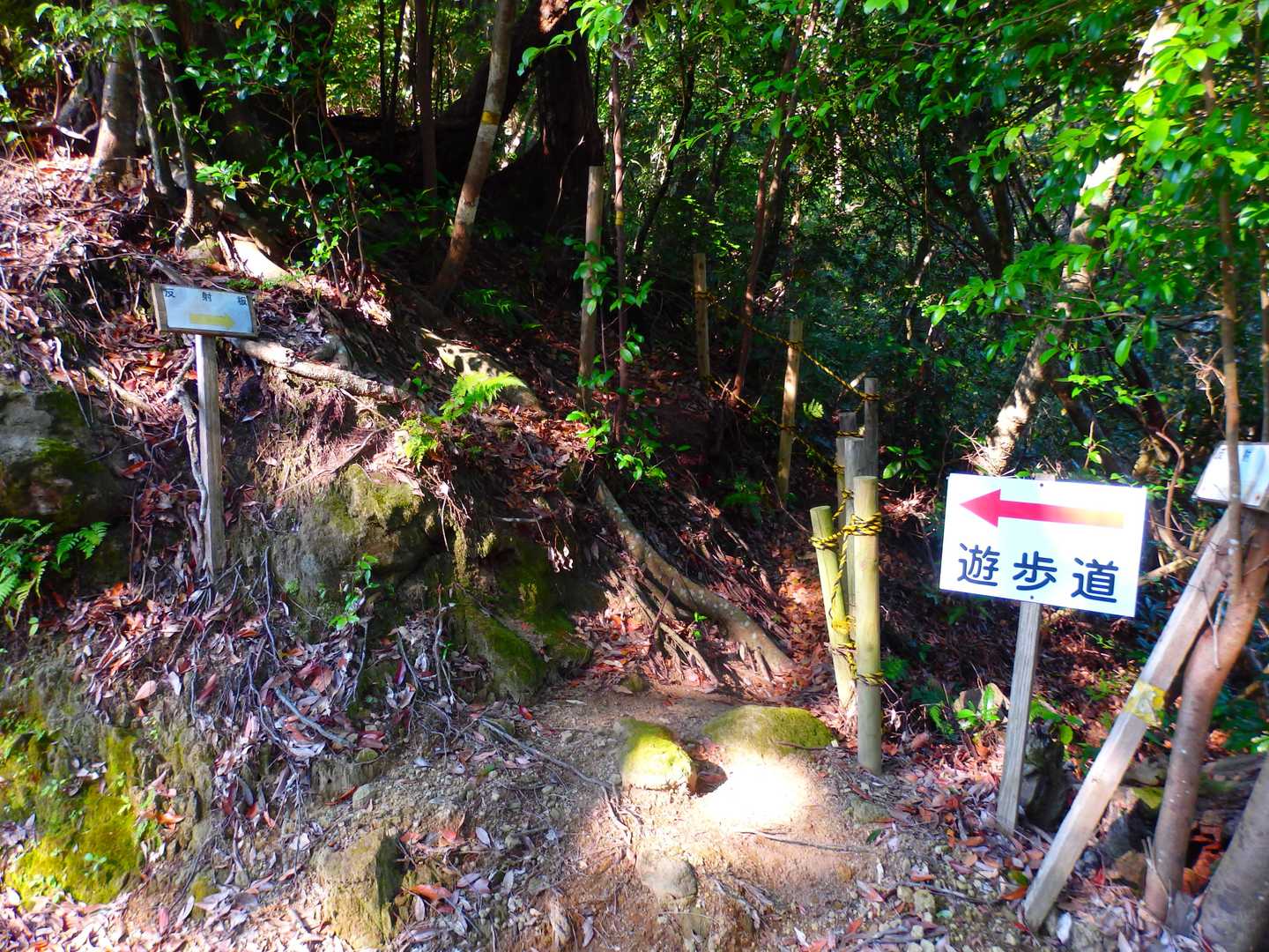 ココから取付きます🏃