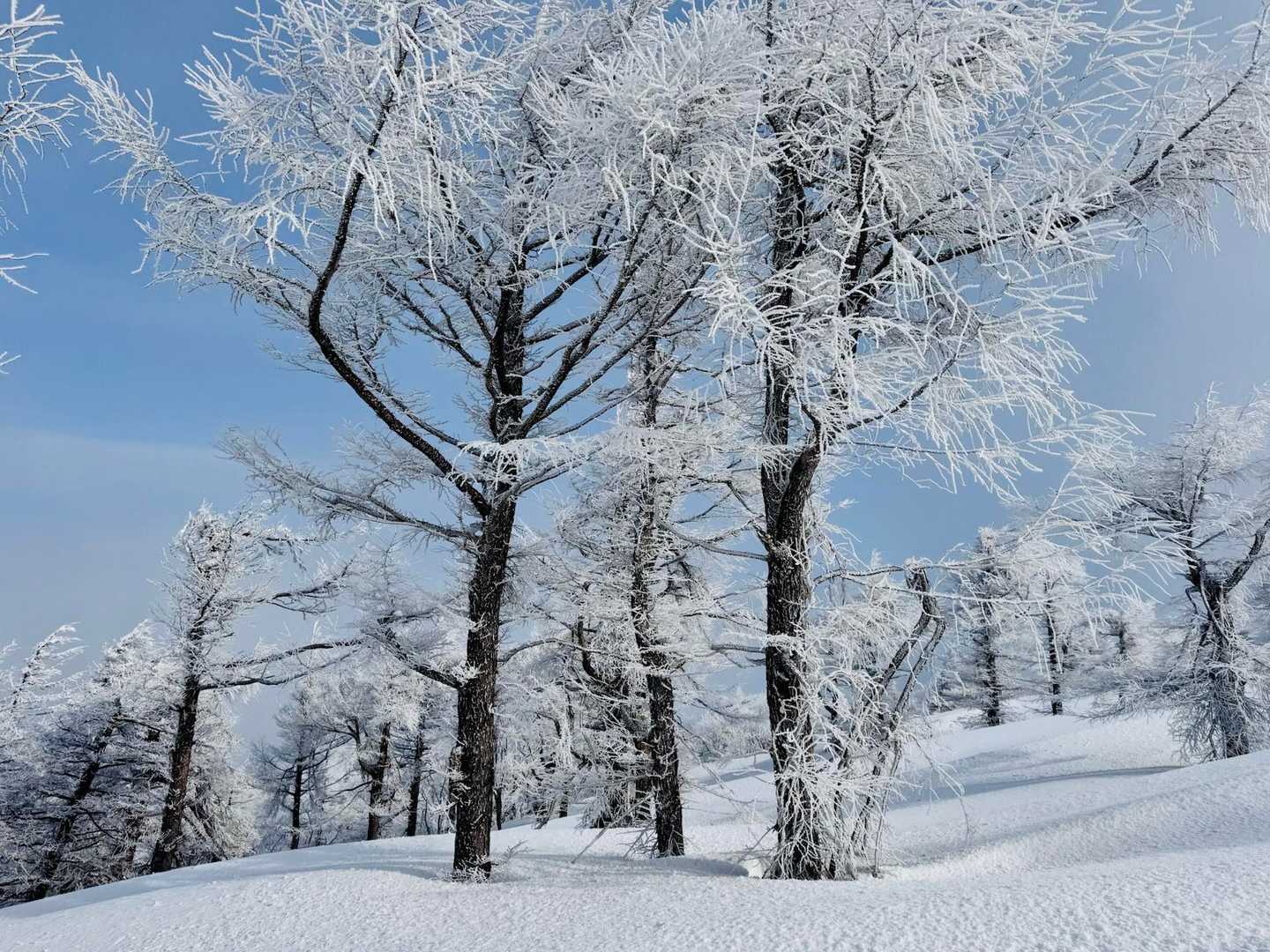 横向登山口 往復コースの写真