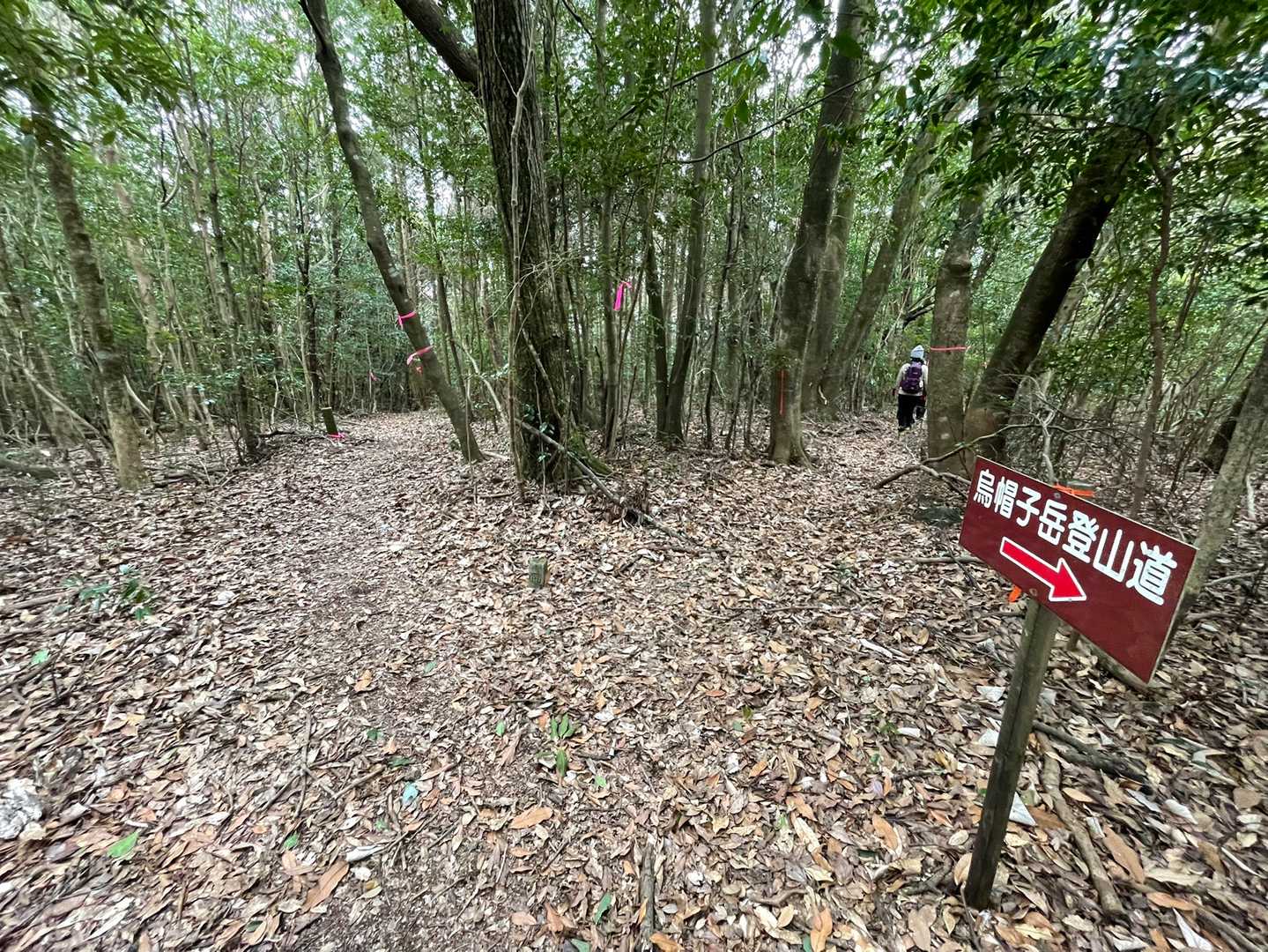 もどって、右側が下山コース。
左側は長尾山縦走コース。