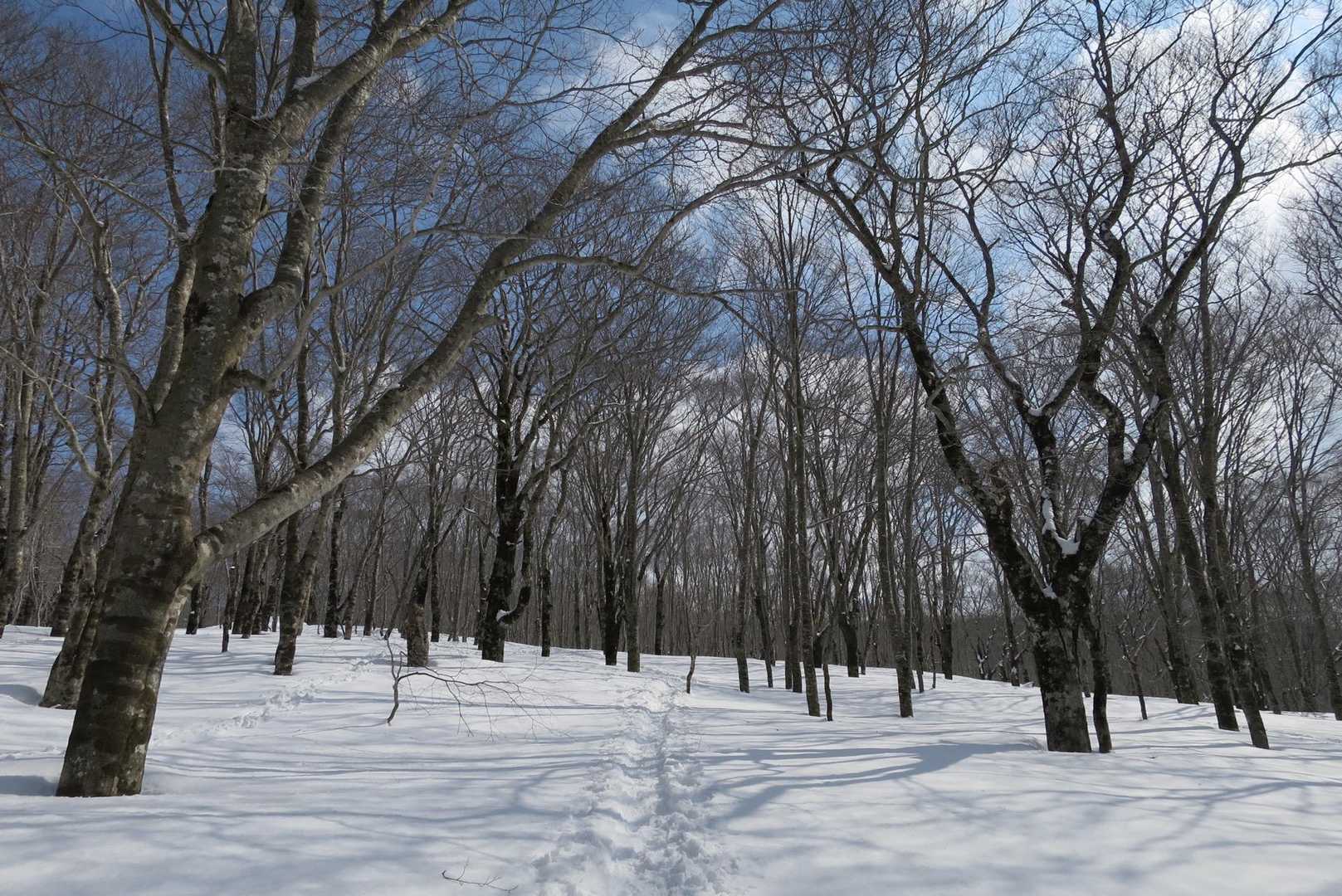 気持ちいい〜😊