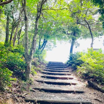 山頂！かと思ったわ