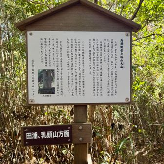 田浦・横須賀方面への道、通る人と馬の安全と供養のために、江戸時代に建てられた。