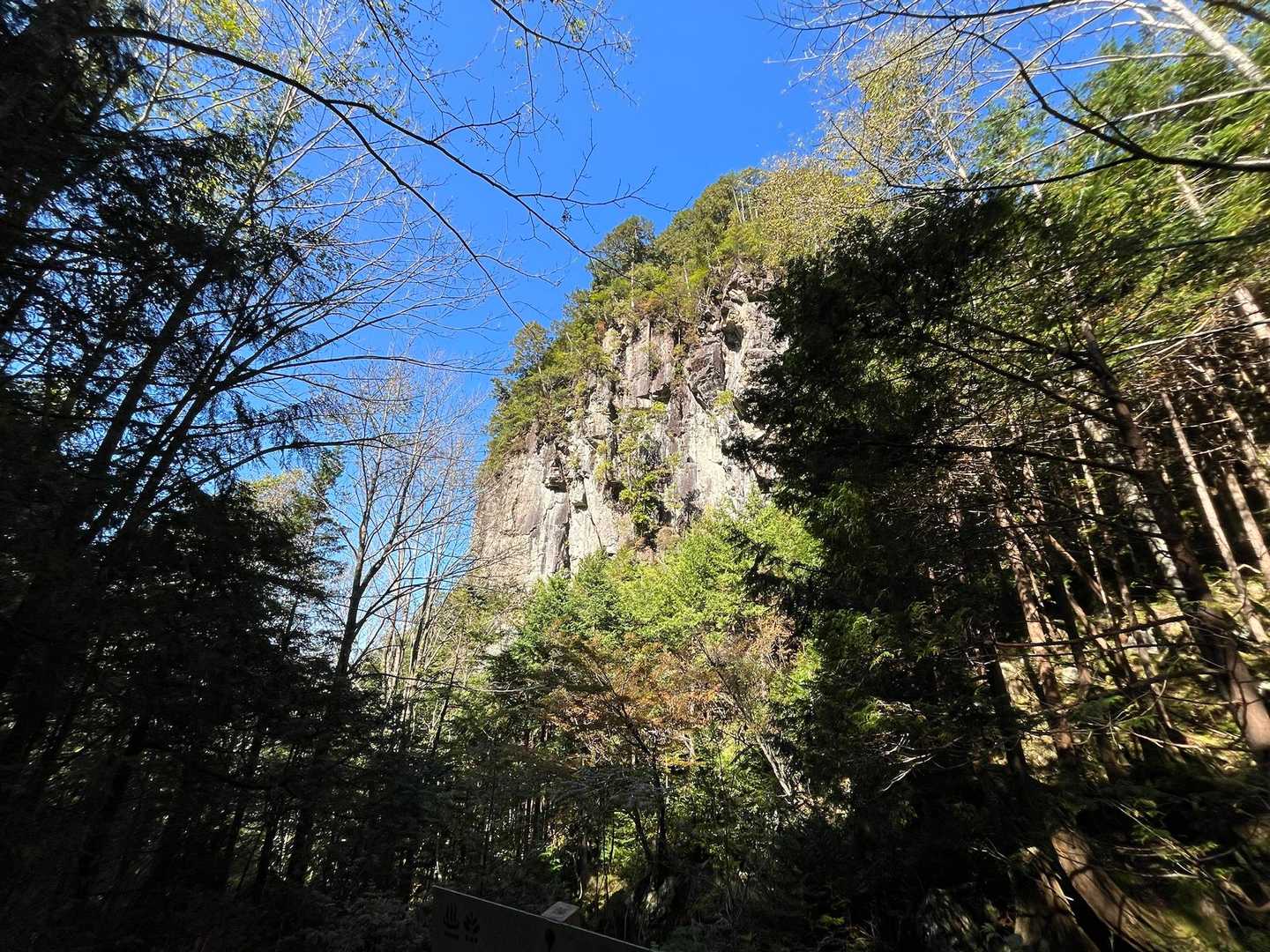 頭上にあった。こりゃ立派だわ。