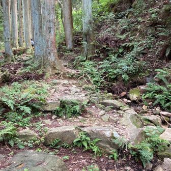 普通に登ります