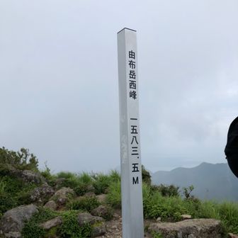 一万ルーメン🌟