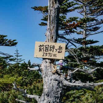 行きに見落としてたけどここもだねー